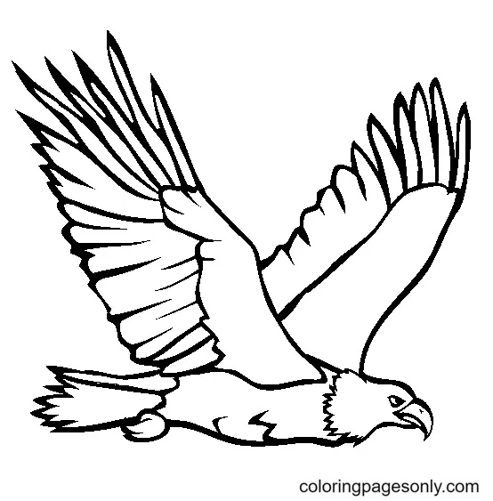 Desenhos de Aguia Para Colorir 7