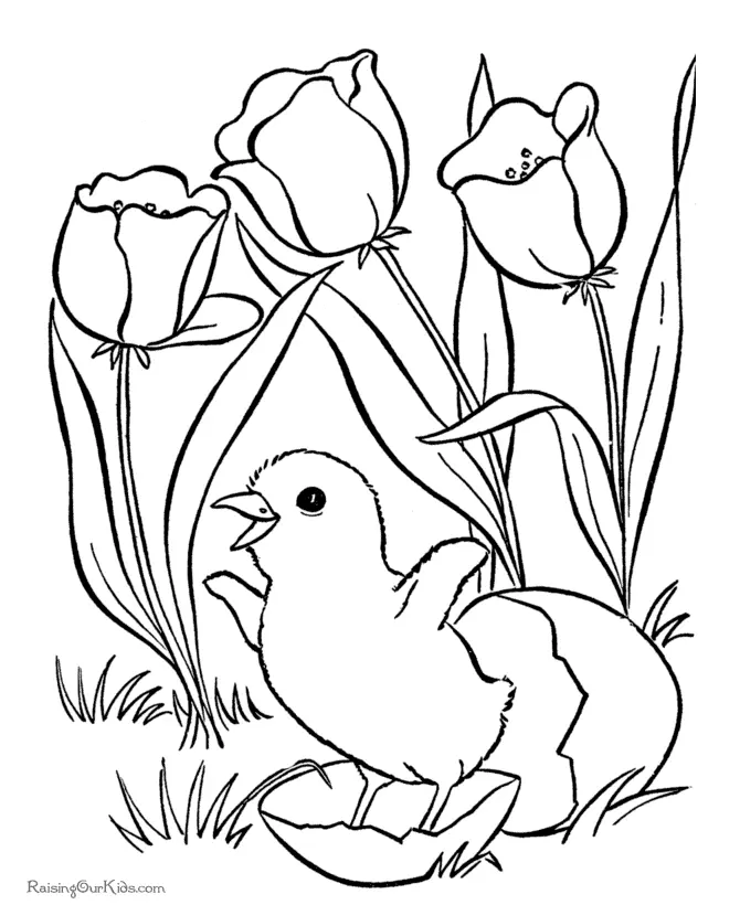 Pascoa para colorir 278