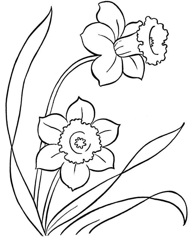 Pascoa para colorir 295