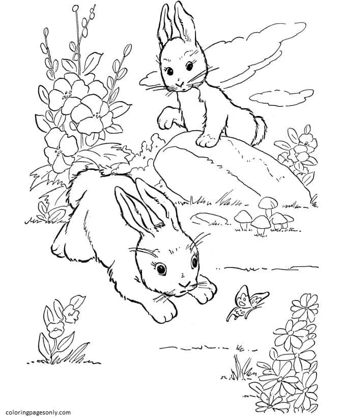 Farm Animal Coloring Pages 25