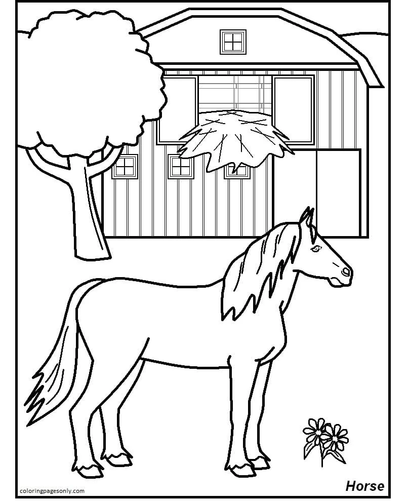 Desenhos de Animais de Fazenda Para Colorir 3