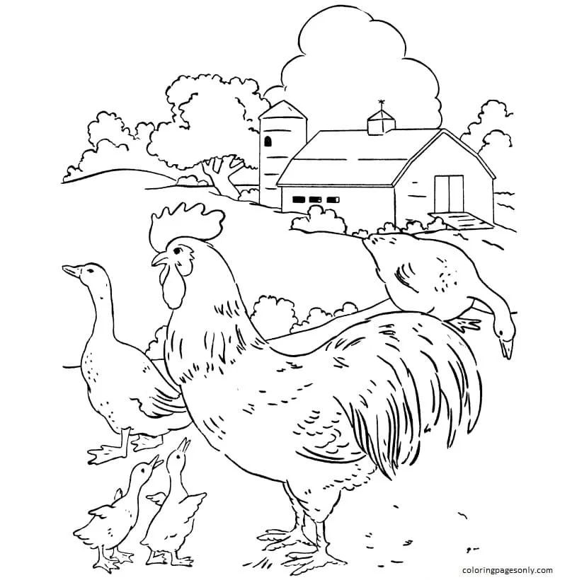 Ausmalbilder von Farmtieren 30