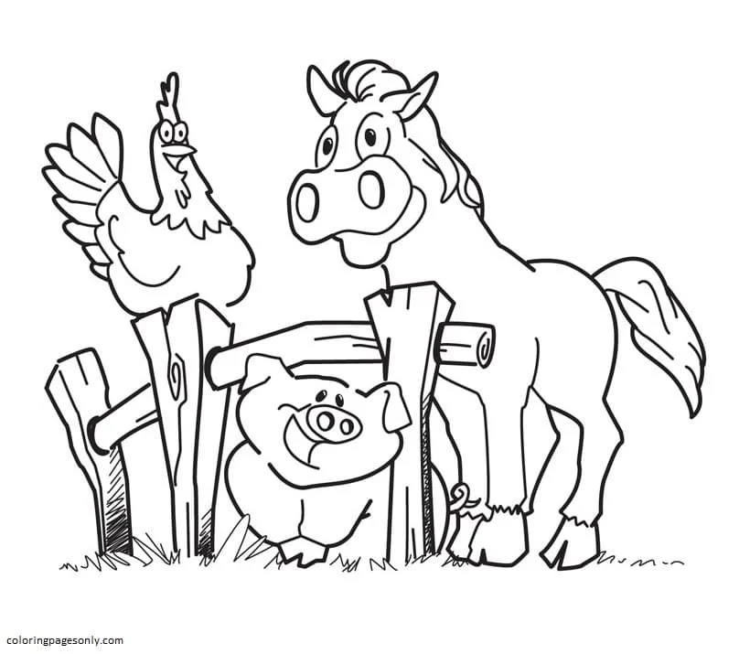 Desenhos de Animais de Fazenda Para Colorir 53