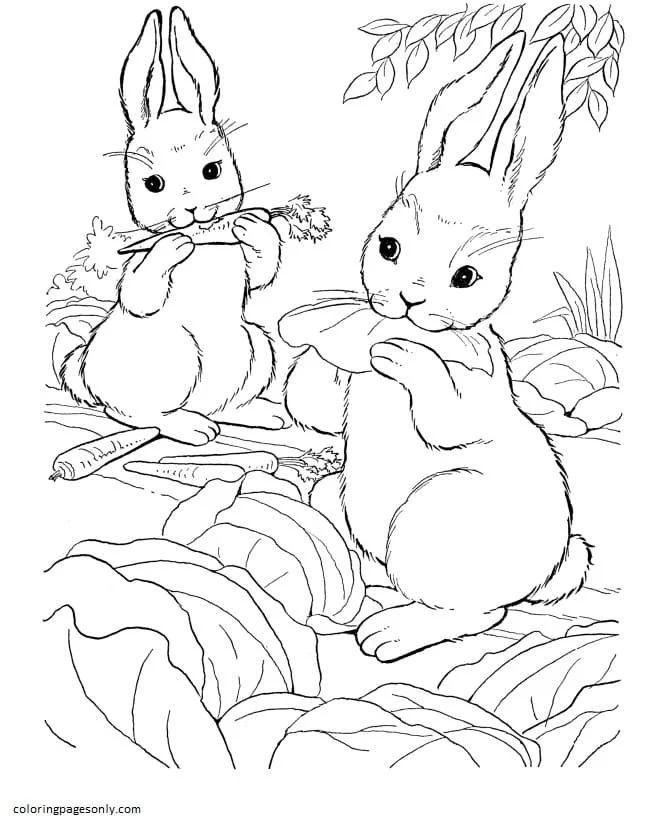Desenhos de Animais de Fazenda Para Colorir 9