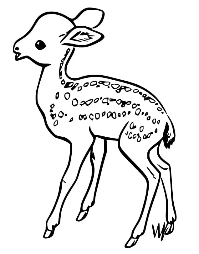 Reh Ausmalbilder 86