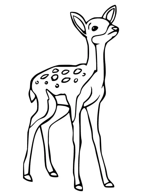 Reh Ausmalbilder 67