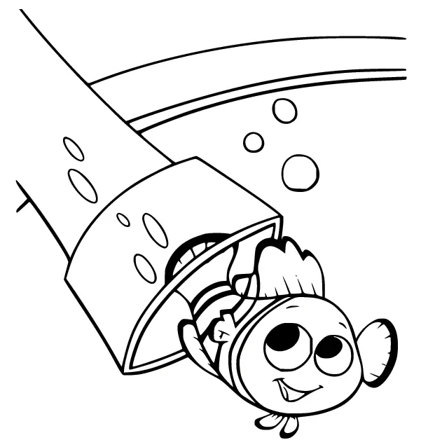 Desenhos de Procurando Nemo Para Colorir 66