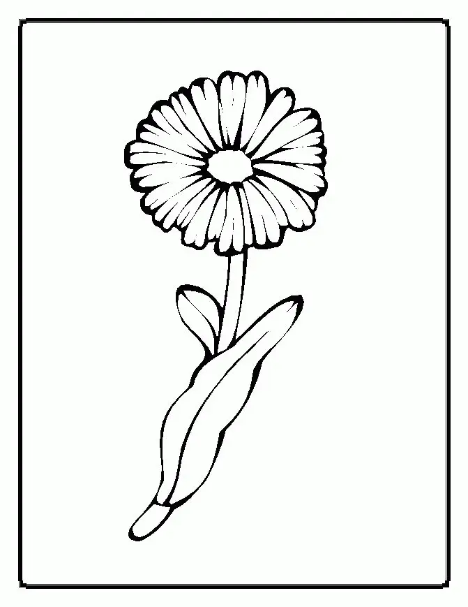 Flower Pot Coloring Pages 15