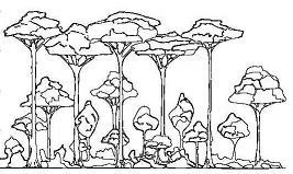 Desenhos de Floresta Para Colorir 13
