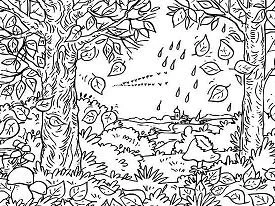 Desenhos de Floresta Para Colorir 19