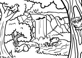 Desenhos de Floresta Para Colorir 20