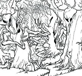 Desenhos de Floresta Para Colorir 31