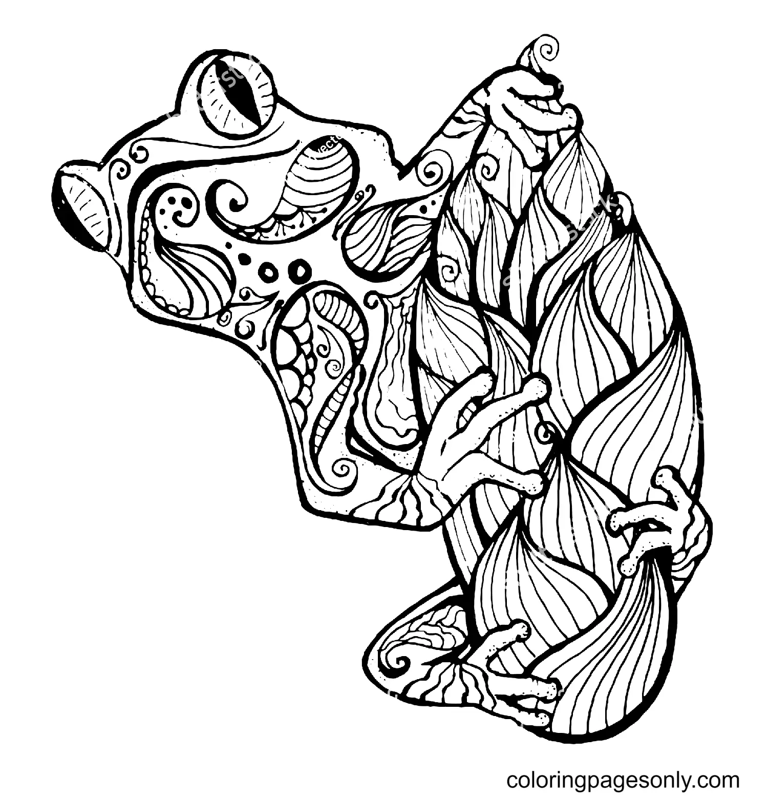 Frosch Ausmalbilder 16