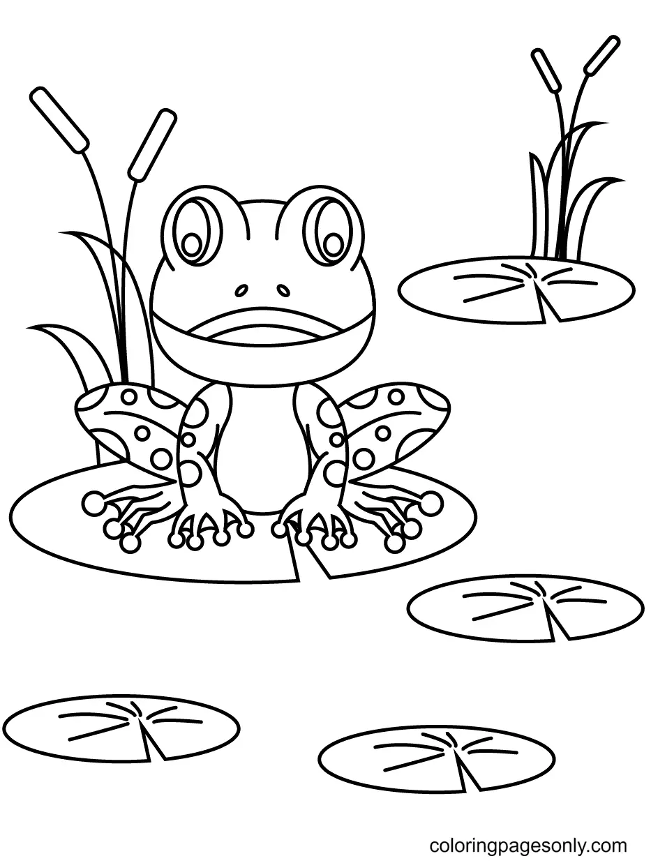 Frosch Ausmalbilder 51