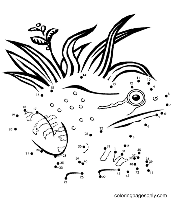 Frog Coloring Pages 64