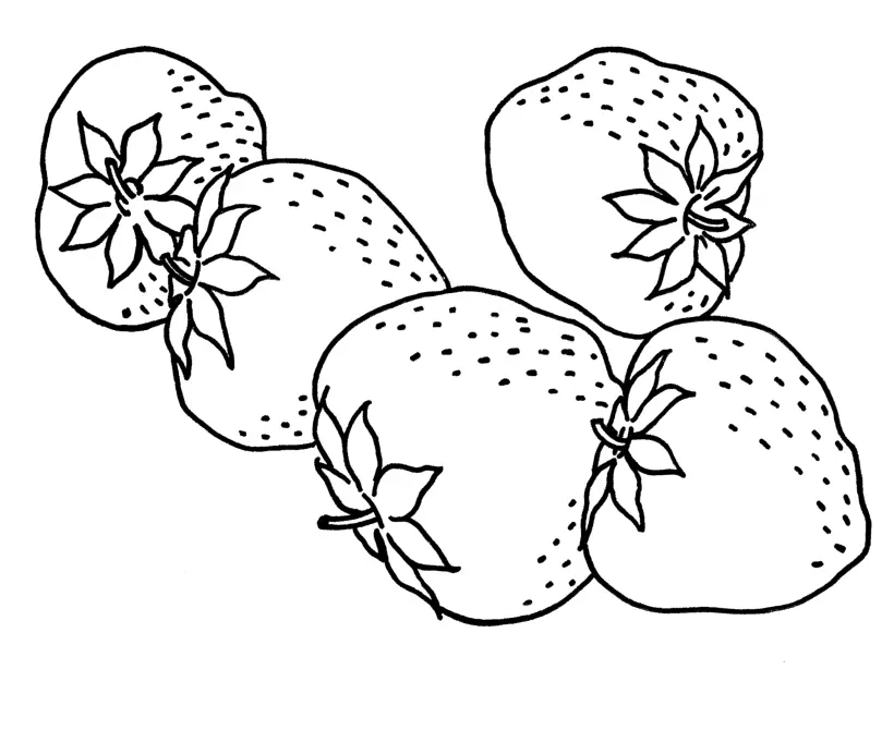 Frucht Ausmalbilder