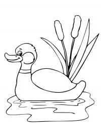 Desenhos de Engracado desenhos Para Colorir 143