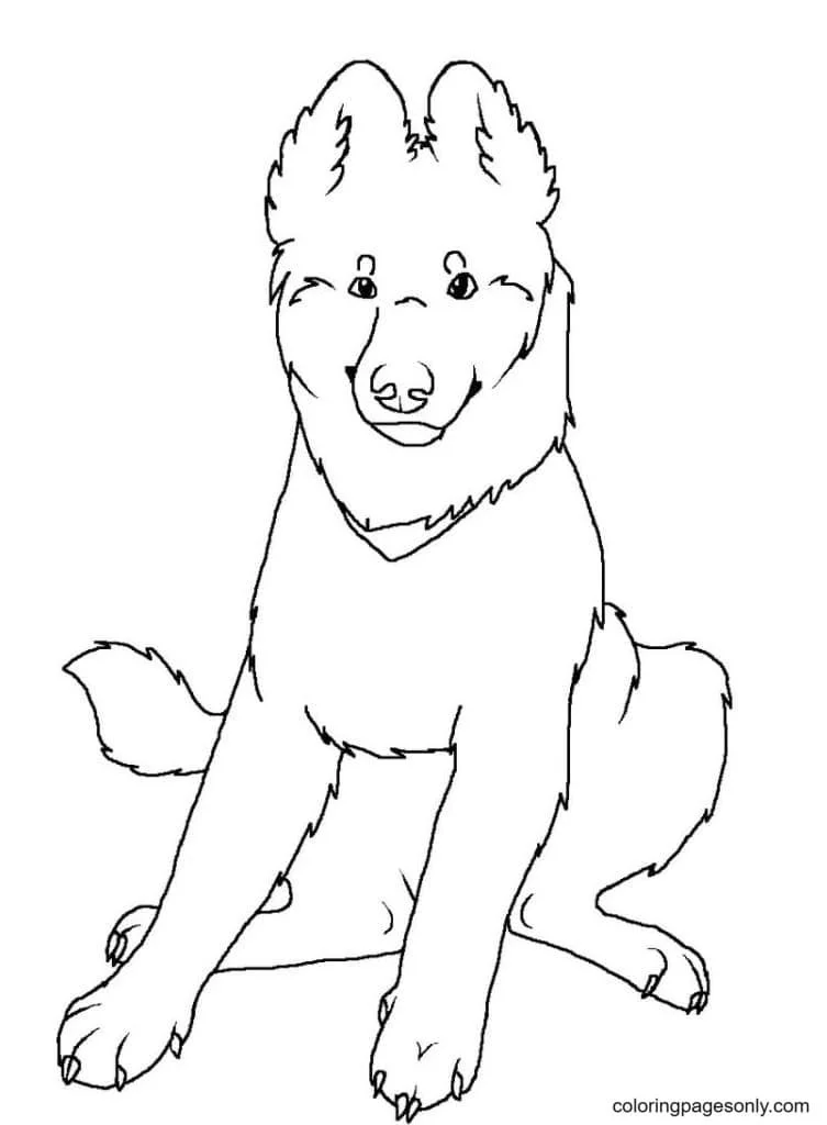 Desenhos de Pastor Alemao Para Colorir 1