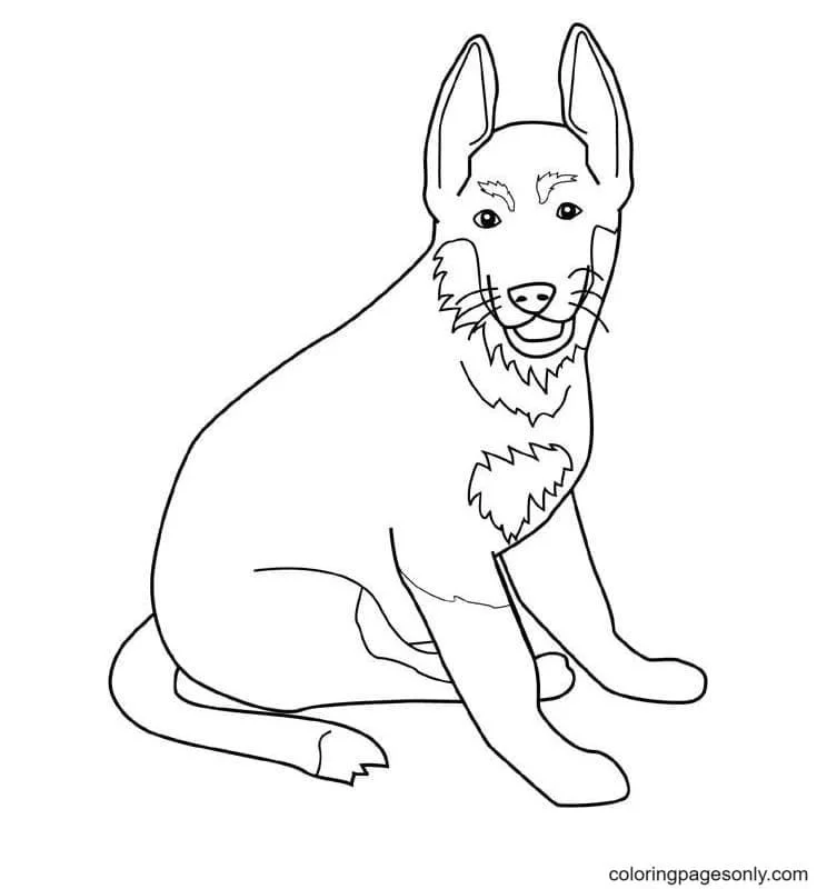 Desenhos de Pastor Alemao Para Colorir 19