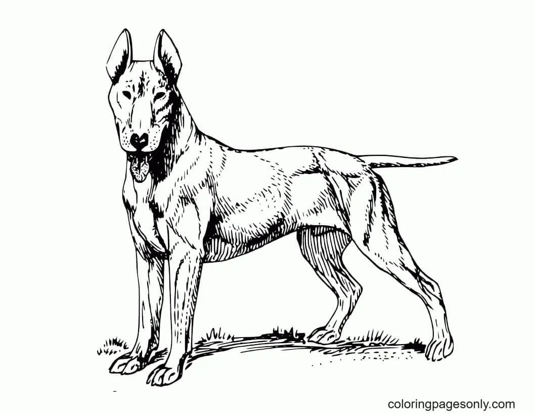 Ausmalbilder Deutscher Schäferhund 28
