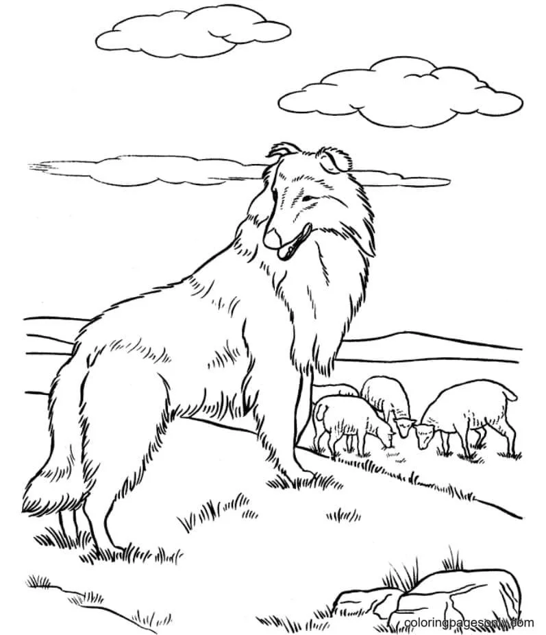 Ausmalbilder Deutscher Schäferhund 38