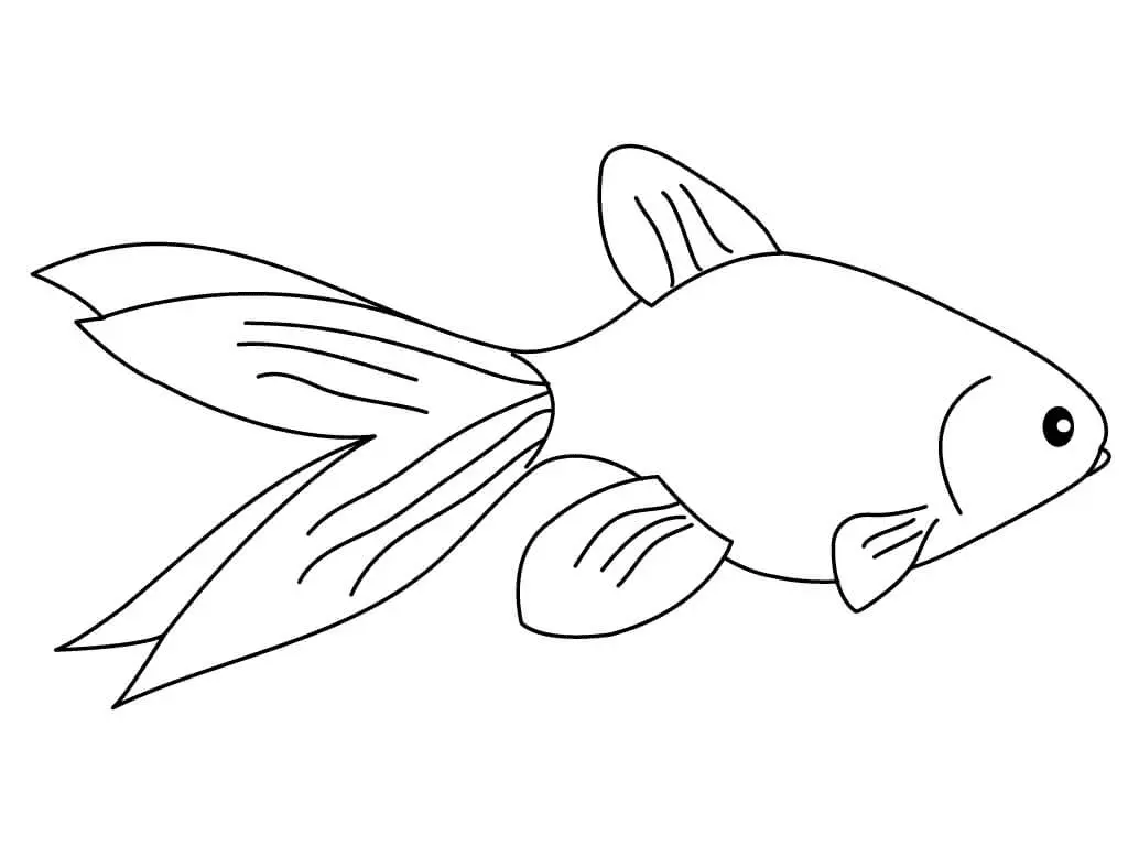 Goldfish Coloring Pages 30