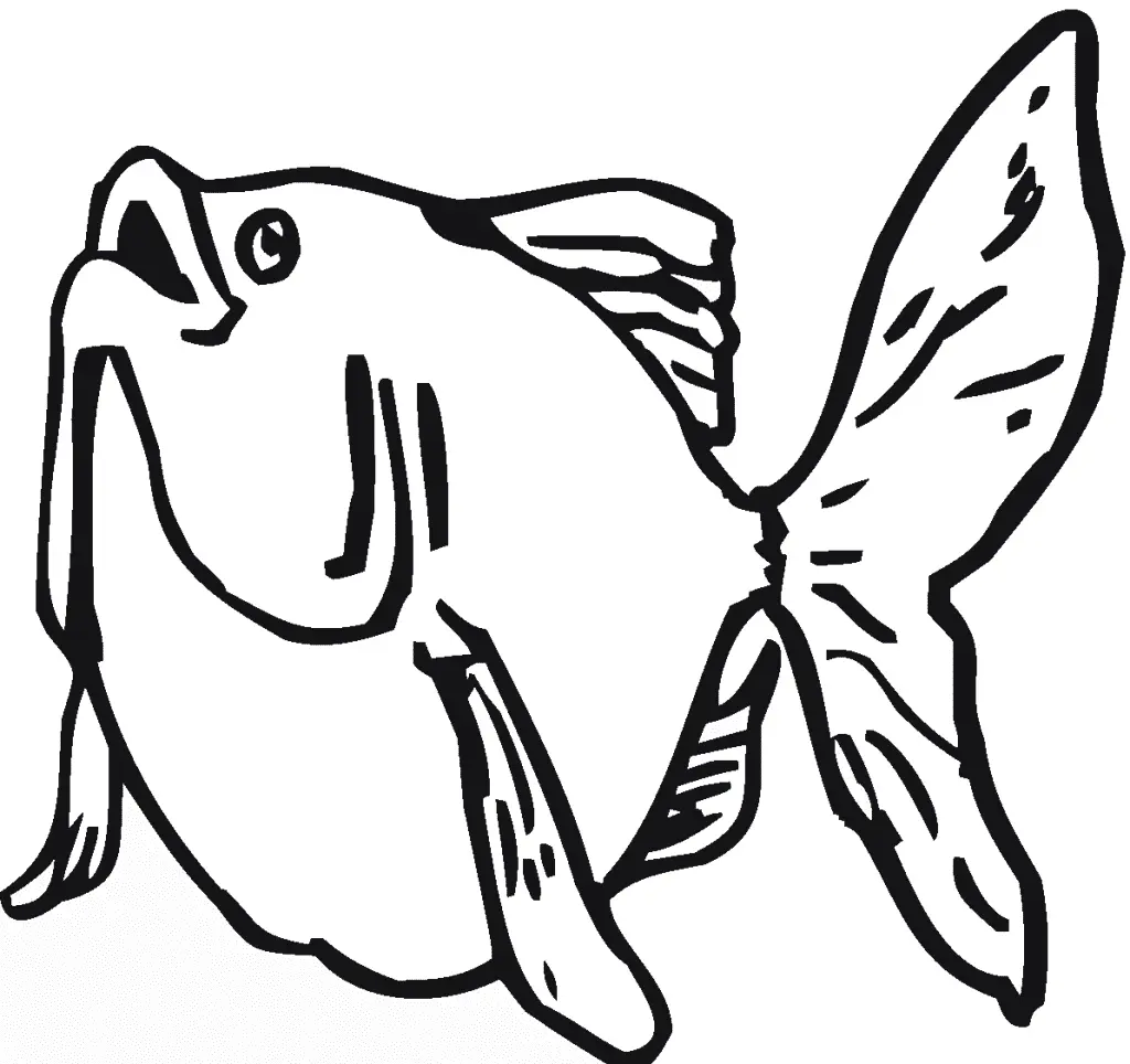 Goldfisch Ausmalbilder 45