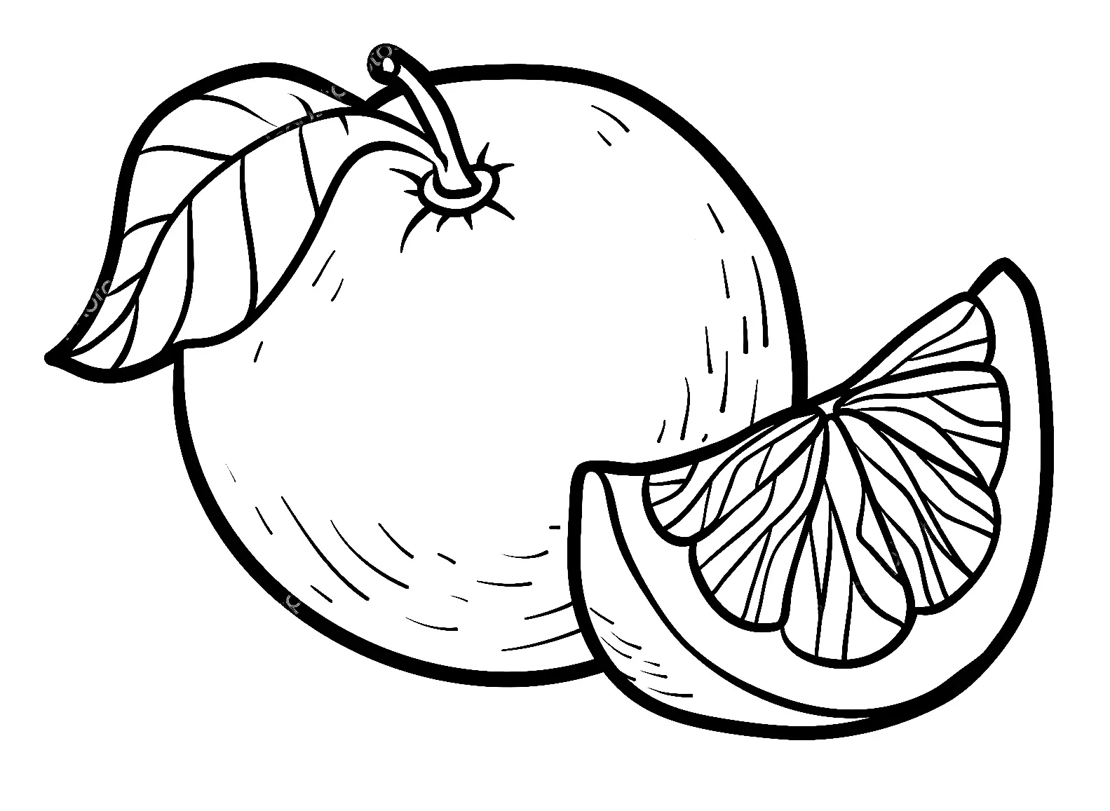 Grapefruit Ausmalbilder 1