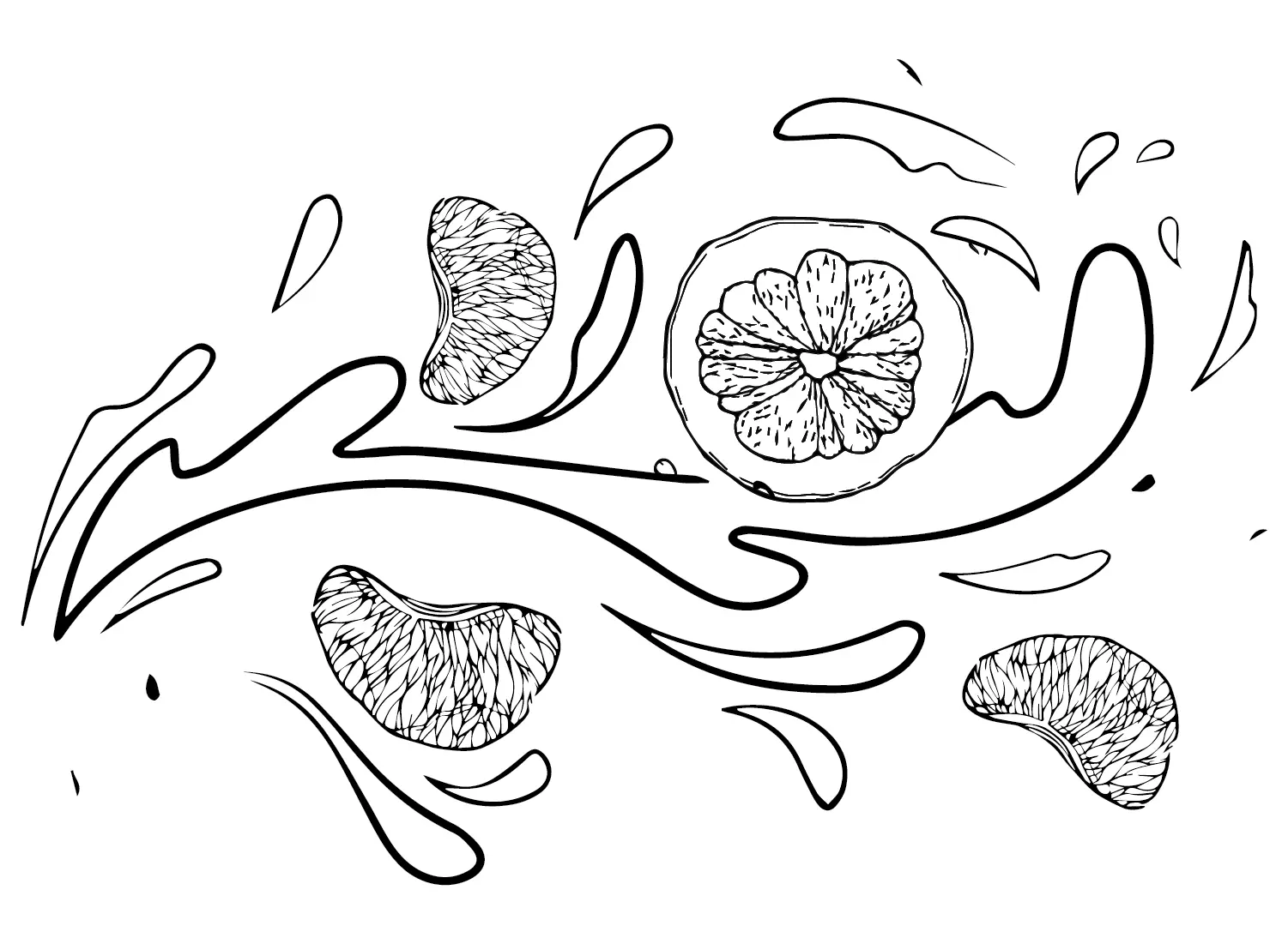 Grapefruit Ausmalbilder 6