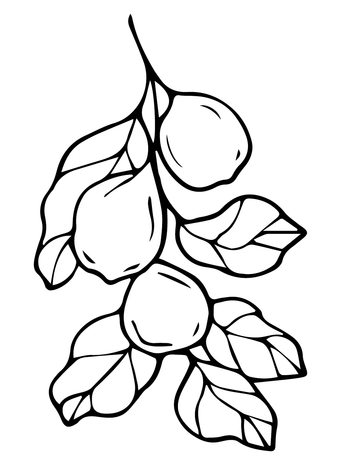 Guavas Coloring Pages 12