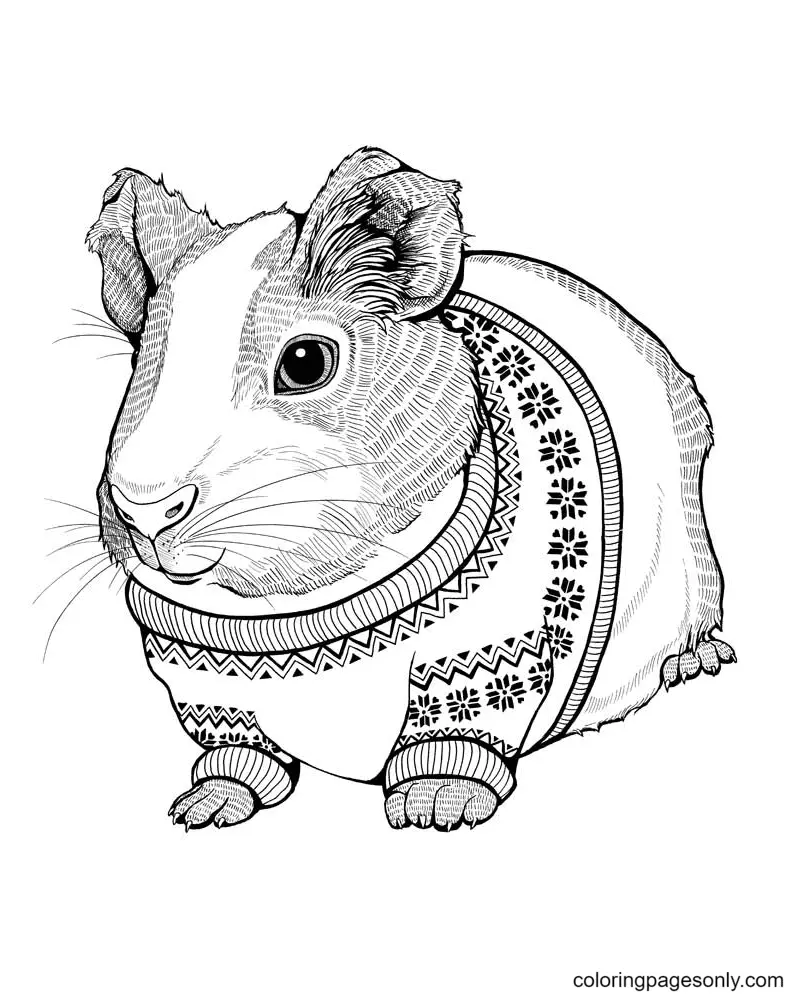 Hamster Coloring Pages 25
