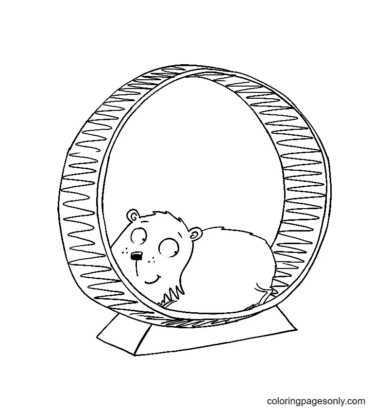 Hamster Coloring Pages 58