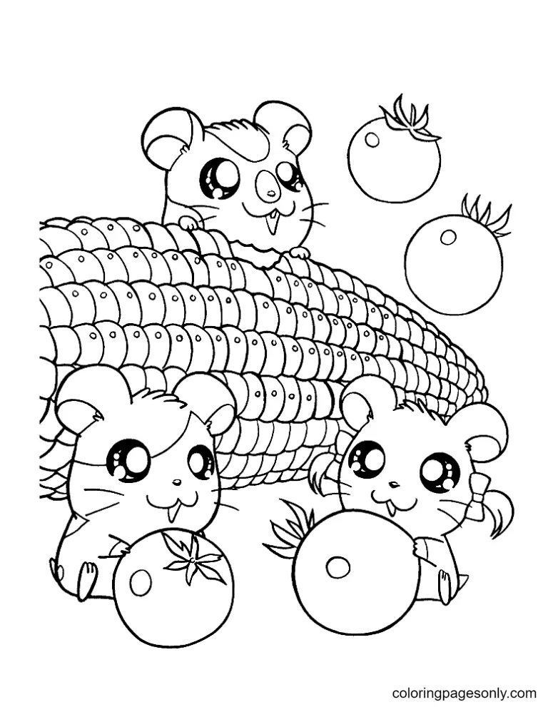 Hamster Coloring Pages 9