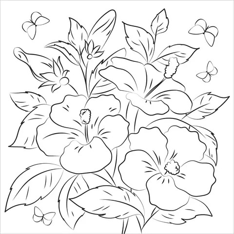 Desenhos de Hibisco Para Colorir 18