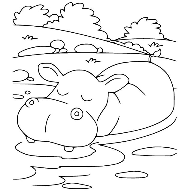 Desenhos de Hipopotamo Para Colorir 13