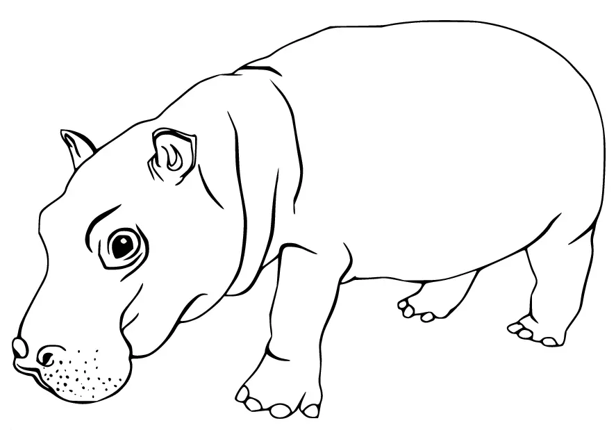 Desenhos de Hipopotamo Para Colorir 16