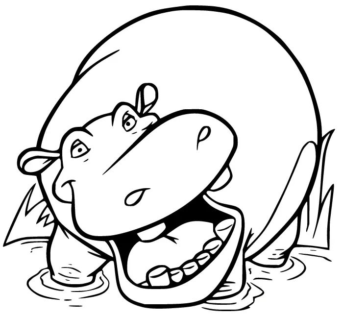 Hippo Ausmalbilder 31