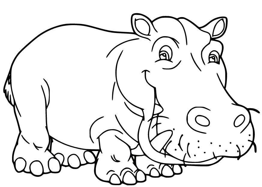 Hippo Ausmalbilder 40