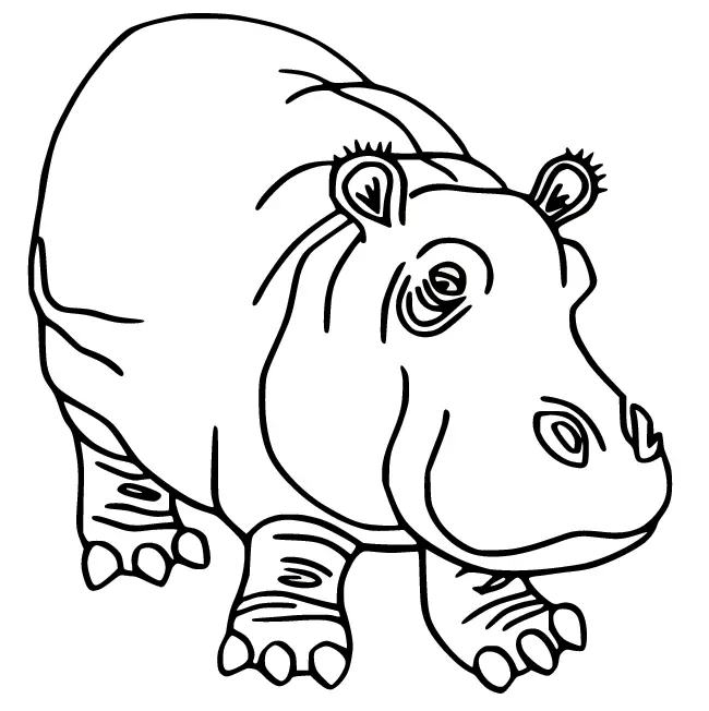 Hippo Coloring Pages 47