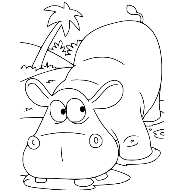 Hippo Ausmalbilder 48