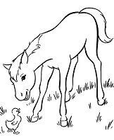 Horse Coloring Pages 110