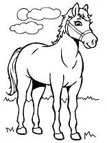 Horse Coloring Pages 121