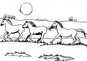 Horse Coloring Pages 128
