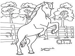 Caballos Para Colorear 143