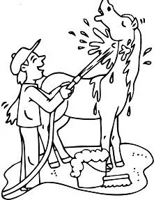 Caballos Para Colorear 167