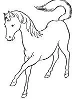 Horse Coloring Pages 173