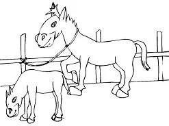 Horse Coloring Pages 179