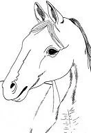 Caballos Para Colorear 182