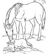 Horse Coloring Pages 23