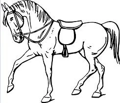 Horse Coloring Pages 35